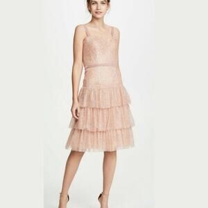 Gorgeous Marchesa Notte Pink Glitter Rose with Velvet Size 10 Dress